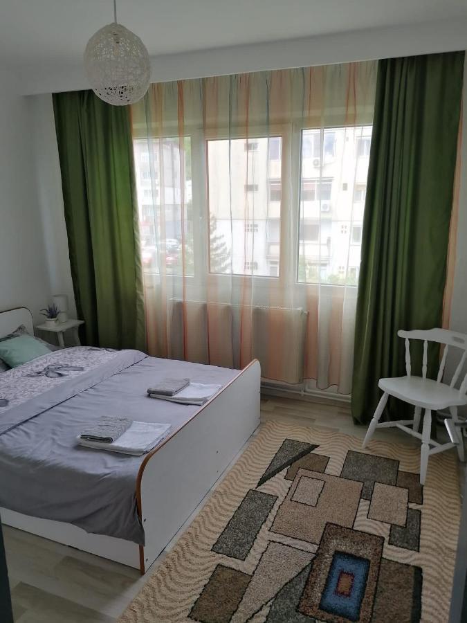 Apartament Alexia Apartment Orşova Екстериор снимка