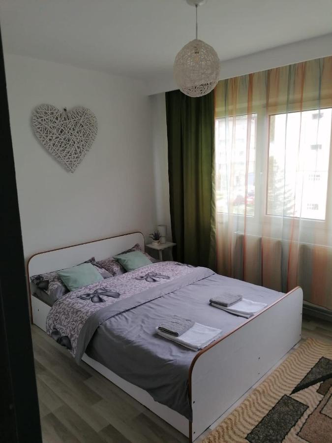 Apartament Alexia Apartment Orşova Екстериор снимка