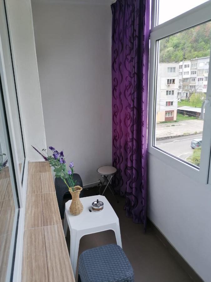 Apartament Alexia Apartment Orşova Екстериор снимка