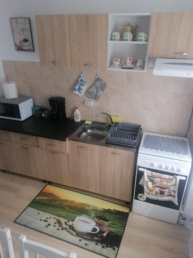 Apartament Alexia Apartment Orşova Екстериор снимка
